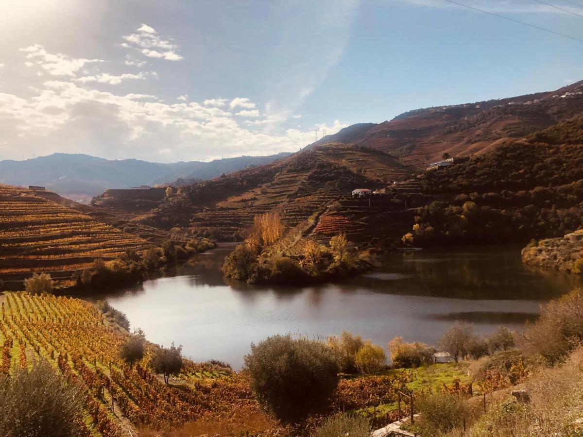 Castas Do Douro Villa Tabuaco Ngoại thất bức ảnh