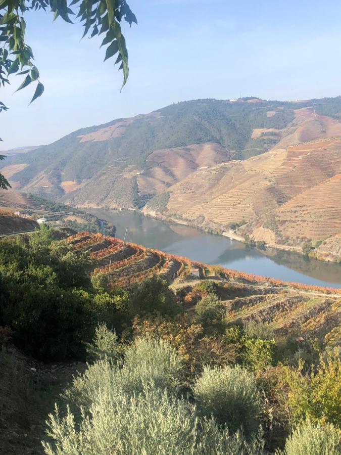 Castas Do Douro Villa Tabuaco Ngoại thất bức ảnh